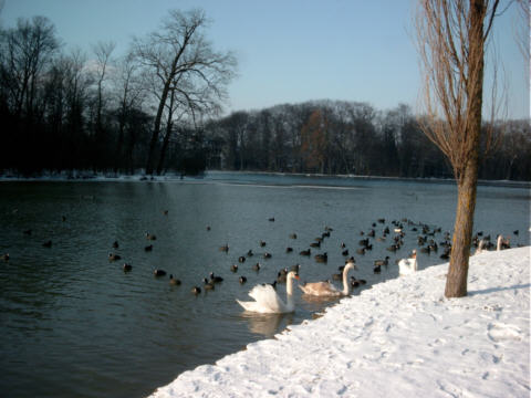 Muenchen - Kleinhesselohersee