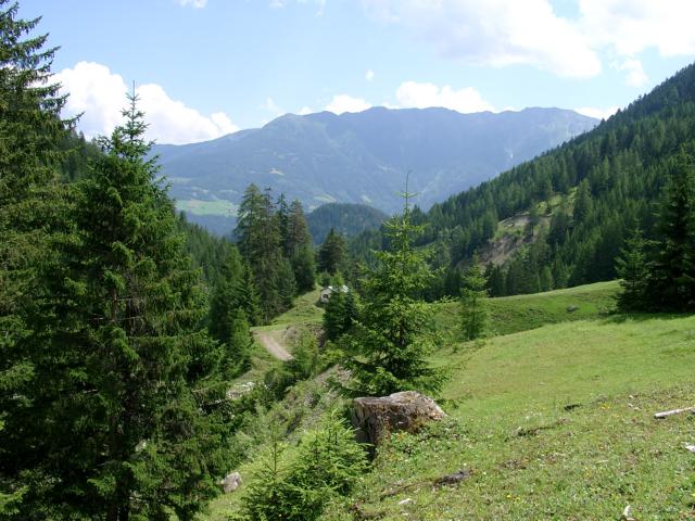 Alfutzalm