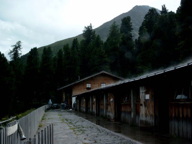 Nassereineralm am Gepatschstausee