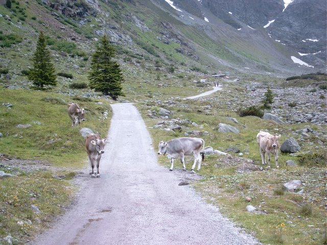 Pitztal